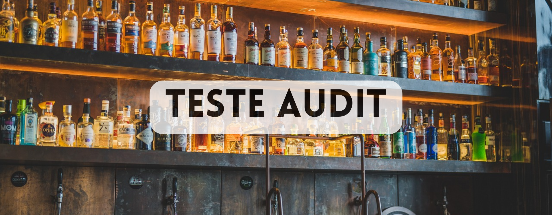 teste audit