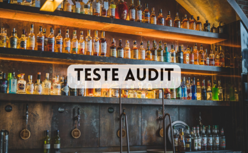 teste audit